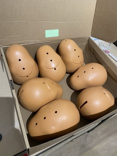 Potato heads - heads.,